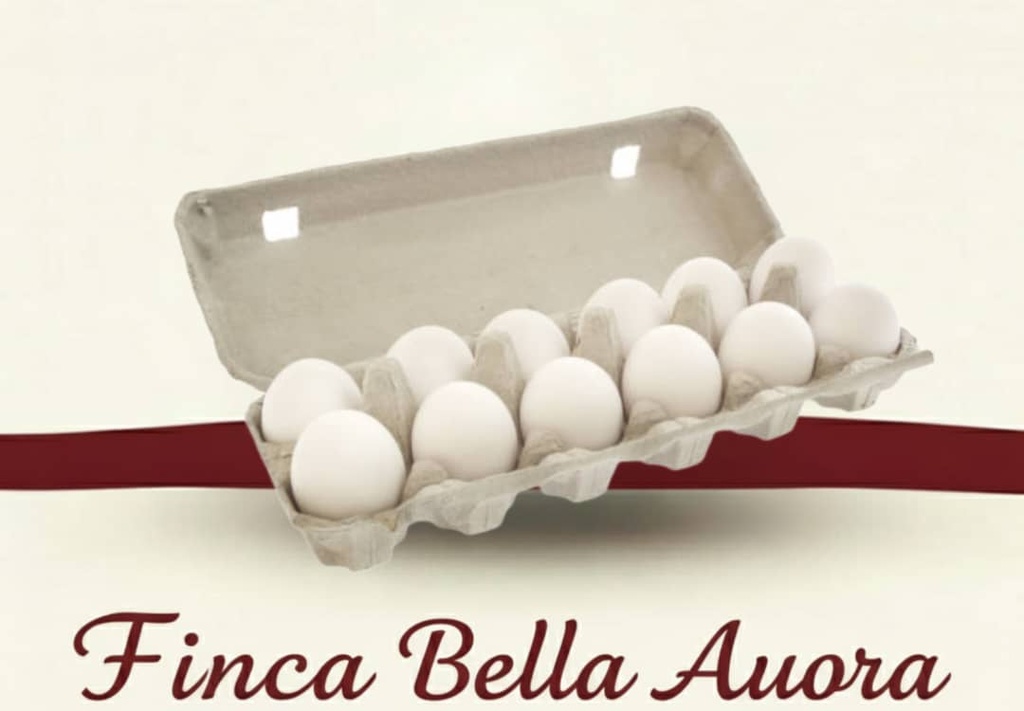 Huevos Frescos  (12 unidades)